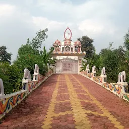 Shri Shribabashri ji Dham