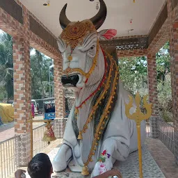Shree baba Sidhheswar Temple, Badakheta