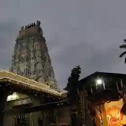 Shri Srinivasa Perumal Temple