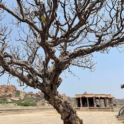 Shri Vittala Swami Temple