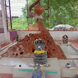 శ్రీ సుబ్రహ్మణ్యస్వామి దేవాలయం, subhramanya swami temple