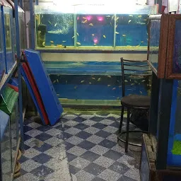 Shubh dharshan aquarium