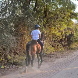 Shubh Stud Farm