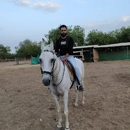 Shubh Stud Farm