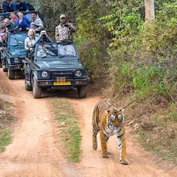 Shubham Ranthambore Safari & Tours