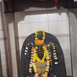 Sri Sri Shukreshwar Devalaya