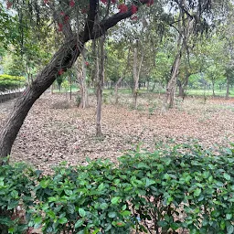 Shyama Prasad Mukherji Park