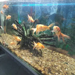 SHYAMA SHREE AQUARIUM (Babu Da)