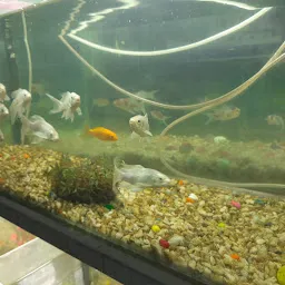 SHYAMA SHREE AQUARIUM (Babu Da)