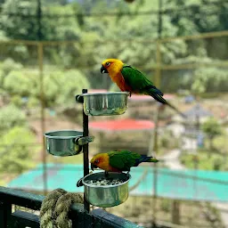 Sidekeong Tulku Bird Park
