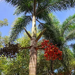 Simhachalam Annadana Satram