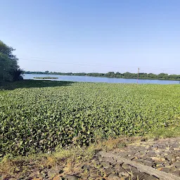 Sirpur Lake Garden