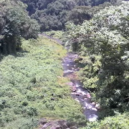 Siruvani dam beauty view point