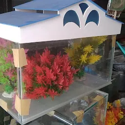 Sivashakthi Aquarium