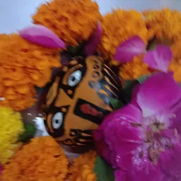 Siya anuj Dham Haridwar ( Jagdish Guruji)
