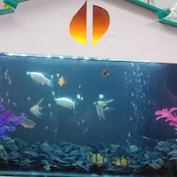 SK Aquarium & Pets