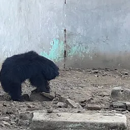 Sloth Bear Cage