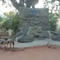 Snake Park ( ಹಾವಿನ ಉದ್ಯಾನವನ )