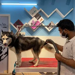 SNAPPY TAILS PET GROOMING STUDIO