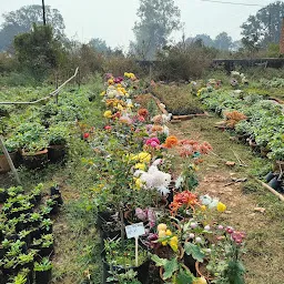 Snehvanda Nursery