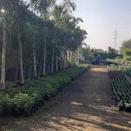 Snehvanda Nursery