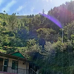 Snow Drop Home Shimla