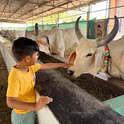 Sola Bhagwat Vidyapith