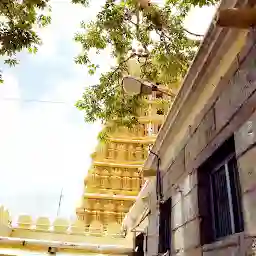 Shri Someshwara Swamy Temple