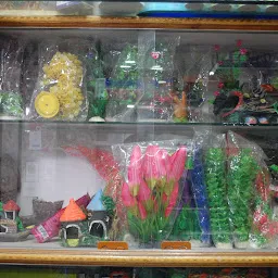 Somya Fish Aquarium - Best Fish Aquarium In Varanasi