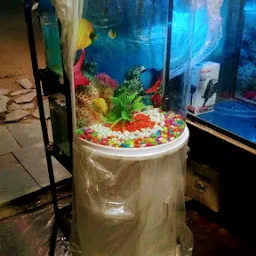 Sonakshi Fish Aquarium