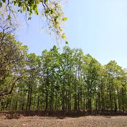Sonamukhi Forest