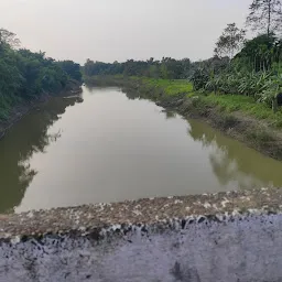 Sonari Bridge/Dolong