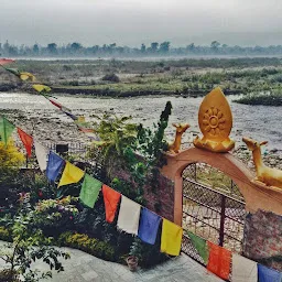 Song River Dharma Ashram