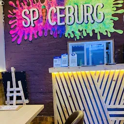 Spiceburg-Indian ,chinese and kebabs