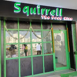 Squirrell the food hive