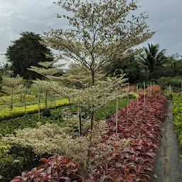 Sree Ayyappa Rose Garden