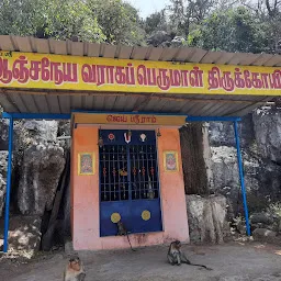 Sri Aadhi Varaha Perumal Temple