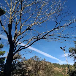 Sri Aurobindo Ashram ,Van Niwas -Nainital