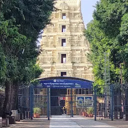 Sri Bhramaramba Mallikarjuna Swamy Ammavarula Devasthanam