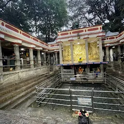 Sri Dakshinamukha Nandi Tirtha Kalyaani Kshetra
