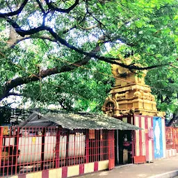 Sri Devi Selli Karumari Amman Temple