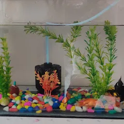 Sri Durga Aquarium and pet shop venkatesh