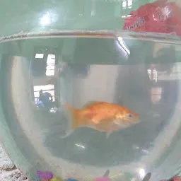 Sri Durga Aquarium & Pet Shop. Pradeep Raj