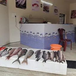 Sri godavari live fish zone