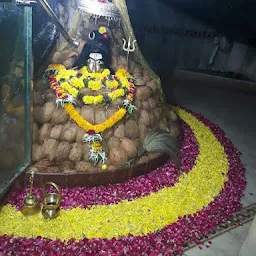 Sri Gupteshwari Mata tample, श्री गुप्तेश्वरी माता मंदिर