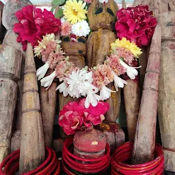 Sri Ippalapolamma thalli,vanam gudi.శ్రీ ఇప్పలపోలమ్మ తల్లి, వనం గుడి.
