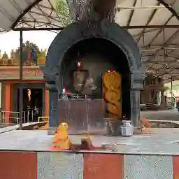 Sri Irukalala Parameswari Ammavari Devasthanam