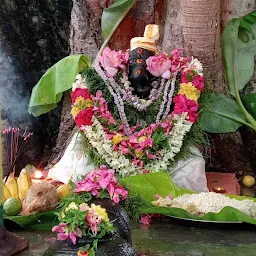 Sri kaali amman Bhagavathy amman temple காளியம்மன் பகவதி அம்மன் திருக்கோவில்