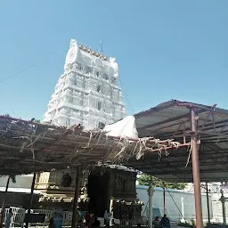 SRI KALYANA VENKATESWARA SWAMY TEMPLE,NEW STREET,TIRUPATI-517501