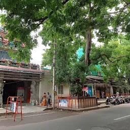 Sri Kamakshi Amman Temple